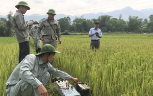 Nghệ An: Nguyên nhân ban đầu vụ xuất hiện nhiều "hố tử thần", nhà nứt hàng loạt