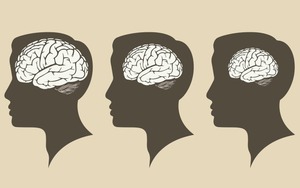 8 sự thật về cơ thể con người mà bạn có thể chưa biết
