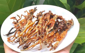 Đặc sản 'vũ nữ chân dài' miền Tây ra Hà Nội, bán 700.000 đồng mỗi kg hút khách sành ăn