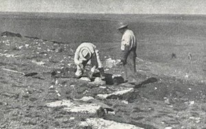Tìm lại được “kho báu” hóa thạch mất tích sau 70 năm
