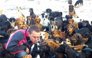 Người đàn ông cưu mang hơn 1000 chú chó, lý do khiến ai nghe cũng cảm phục