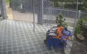 Video: Trộm xông vào nhà, nhổ cây cảnh rồi tẩu thoát