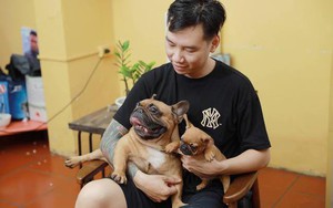 Bếp trưởng Hà Nội đầu tư tiền tỷ nuôi chó Bull Pháp đắt đỏ
