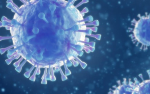 Phát hiện virus corona mới ở Thụy Điển, "không biết có gây nguy hiểm cho người hay không "