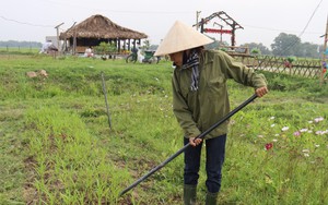 Nữ kỹ sư 9x 'biến' mảnh đất hoang thành nông trại xanh