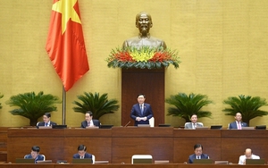 Xử lý trốn thuế xe sang biếu, tặng làm "nóng" Nghị trường
