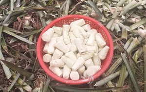 Phần bỏ đi của cây dứa không ngờ là món ăn đặc sản nổi tiếng, được ưa chuộng đến lạ, 70.000 đồng/kg