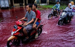 Bí ẩn những cơn ‘mưa máu’ nhuốm đỏ cả vùng rộng lớn, có phải điềm báo chết chóc?