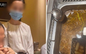 Thực khách trong vụ "thịt dê tan biến" của Haidilao lên tiếng: Đã từng ăn vài lần tại cơ sở này, muốn sự việc kết thúc tại đây