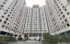 Người giàu thích mua nhà chung cư hay nhà đất?