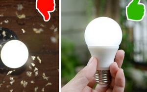 Mẹo diệt côn trùng trong nhà không hóa chất