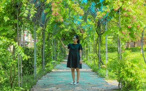 Hà Nội: Ngôi trường đặc biệt có 4 hồ và cả xe buýt di chuyển trong khuôn viên