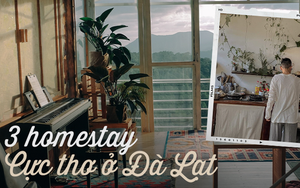 Đà Lạt có 3 homestay từ cảnh đến tên đều “tình” khiến dân du lịch xốn xang: Bảo sao lúc nào cũng “cháy” phòng