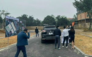 Đất nền giá rẻ vẫn được "săn lùng"