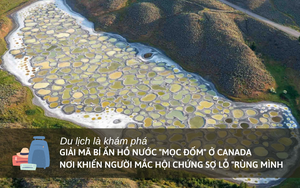 Lý giải bí ẩn hồ nước “mọc đốm” ở Canada: Nơi khiến người mắc hội chứng sợ lỗ "rùng mình"