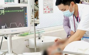Nhiều người nhập viện sau khi ăn nhộng ve sầu