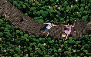 Chiêm ngưỡng đầm sen Hang Múa nở rộ dưới chân núi Ngọa Long