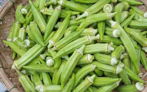 4 loại rau được mệnh danh là "thuốc hạ đường huyết tự nhiên", ăn nhiều có thể ngăn chặn nguy cơ mắc bệnh tiểu đường