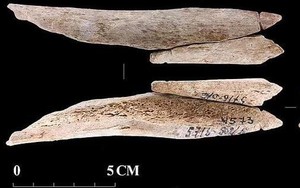 Kho báu kinh hoàng ở Nga: Thuộc về "người quái vật" 8.200 tuổi?