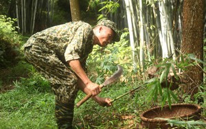 Nghề săn trứng kiến