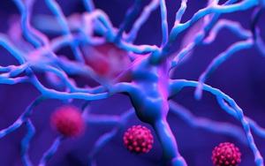 SARS-CoV-2 giết chết tế bào não, các nhà khoa học có tìm ra cách chữa?