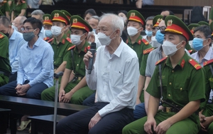 Cựu Chủ tịch Tổng Công ty Bình Dương chuyển hai khu đất "vàng" về tay con rể như thế nào?