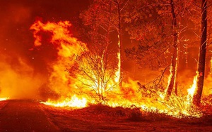 Khói cháy rừng ở Bồ Đào Nha bao trùm các tòa nhà chọc trời Madrid
