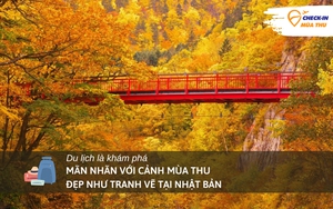 Khám phá nơi đón mùa thu sớm nhất Nhật Bản: Du khách "mãn nhãn" với cảnh lá vàng đẹp như tranh