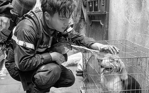 3 cán bộ, chiến sĩ PCCC hi sinh: Xót xa ước mơ dang dở của người lính trẻ