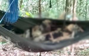 Tá hoả phát hiện 2 thi thể chỉ còn xương trên võng trong rừng