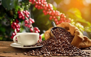 Nhu cầu thế giới tăng mạnh, một mặt hàng của Việt Nam kim ngạch có thể đạt kỷ lục 4 tỷ USD