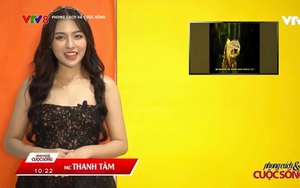 Tiktoker 'trứng rán cần mỡ' bị chê tơi tả khi lấn sân làm MC của VTV