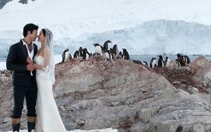 Dịch vụ tổ chức đám cưới ở Nam Cực dành cho cặp đôi thích mới lạ