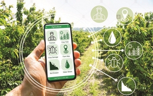 Chuyển đổi số nền nông nghiệp: Câu chuyện của sự phát triển bền vững
