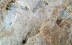 Dấu chân Kỷ băng hà viết lại lịch sử loài người ở Mỹ