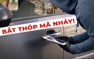 Vụ dùng 500.000 đồng trộm xe Tesla 1,9 tỷ: Bắt thóp cả Mã Nhảy!