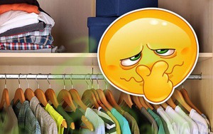 Mách bạn mẹo hay để giải quyết triệt để mùi hôi bên trong tủ quần áo