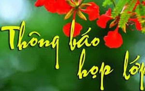 Đà Nẵng: Đi họp lớp, 2 thanh niên đánh bạn học nứt sọ