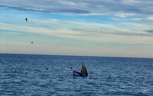 Kỳ thú đàn cá voi xanh xuất hiện ven biển Bình Định