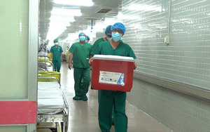 Cô gái 25 tuổi hiến tạng cứu sống 6 người