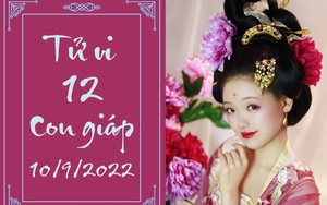 Tử vi 12 con giáp hôm nay thứ Bảy ngày 10/9: Dậu bị lợi dụng, Ngọ đạt mục đích