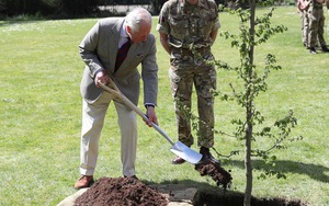 Đài tưởng niệm Nữ hoàng Elizabeth II lớn nhất sẽ 'bén rễ' vào mùa đông