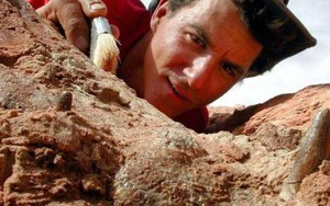 Siêu quái vật 12 m chuyên ăn thịt khủng long hiện hình ở Sahara