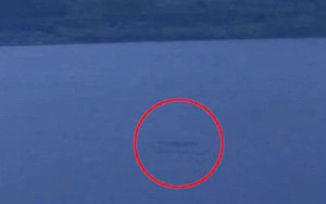 Một người chụp được quái vật hồ Lock Ness rất rõ?