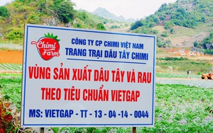 Chứng nhận VietGAP "xịn" có dễ đạt hay không?