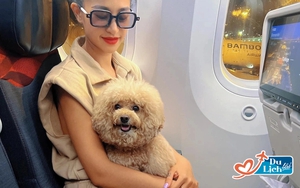 Trải lòng cô gái Việt chi tiền khủng đưa chó cưng lên máy bay đi châu Âu