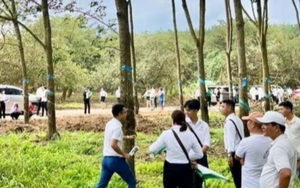 Xôn xao video bán đất như bán rau ở Bình Phước