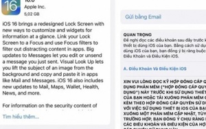 Mẹo nhỏ để không bỏ sót các tin nhắn quan trọng trên iPhone