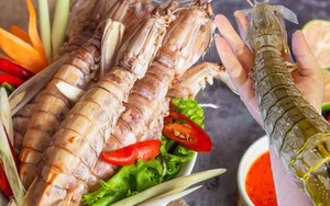 Bề bề chúa khổng lồ ngon hơn cả tôm hùm, giá gần 2 triệu/kg vẫn được yêu thích