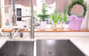 Cách làm sạch 3 vật dụng bẩn nhất trong bếp nhà bạn